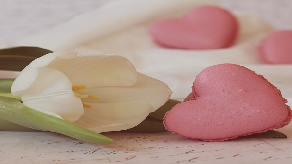 人と深く関わる仕事がしたい方へ｜介護職だからこそ築ける利用者との心温まる関係性